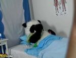 Für diesen armen Panda-Bär gibt es keine bessere Lösung als Sex zu machen