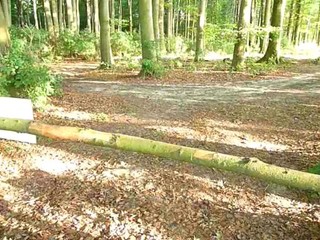 Schlanke Blondine mit kleinen Titten wird von hinten in der Natur, im Laufe des Tages genommen #5